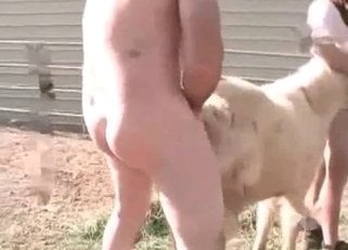 ZooAnimalPorn
