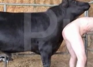Dog Sex Zoo