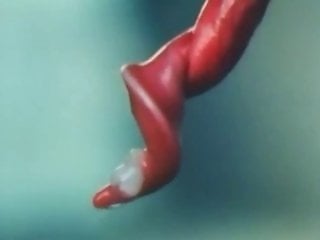 Animal Porn In