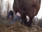 Amateur Bestiality