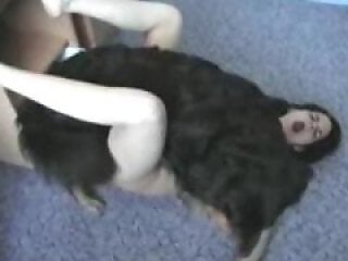XXXZooVideo