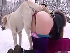 Bestiality Video