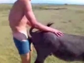 XXX bestiality zoo porn