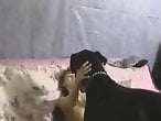 Bestiality Video