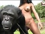 ZooXPorn