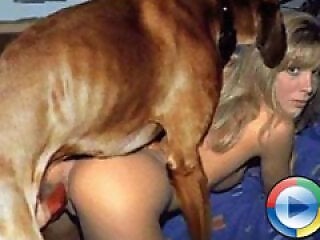 XXX bestiality zoo porn
