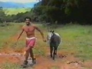 Bestiality Horse Fuck