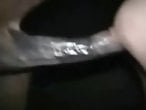XXX Bestiality Sex
