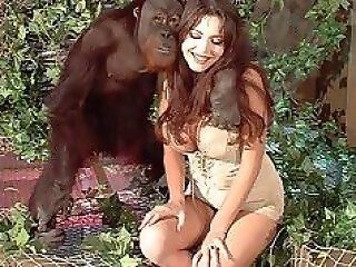 Animal porn and zoo sex