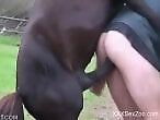 Animal Zoo Porn