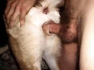 ZooAnimalPorn