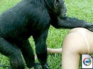 Zoo Zoo Sex Porn