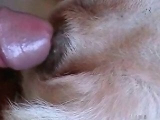 ZOO Porn and bestiality tube