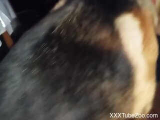 Dog deep fucks curvy woman whilst she moans and undulates
