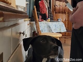 Solo man allows the dog access to his hairy balls and ass