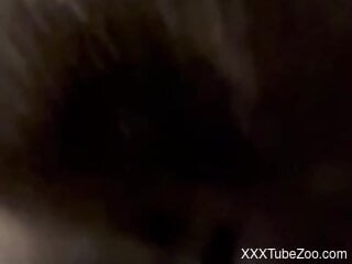 Little dog joins the passionate oral bestiality