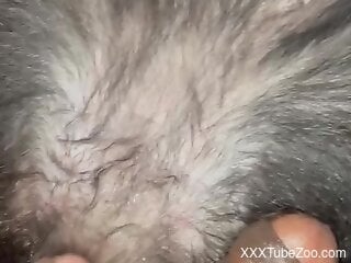 Nude male finger fucks the dog pussy to fulfill his dirty needs