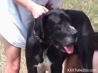 Naked old man gets anal drilled by the dog in outdoor kinks