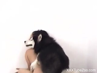 Fine woman slams dog's dick down the ass and pussy in homemade XXX