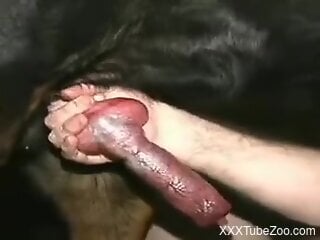 Sexy woman guides dog's hefty cock straight into her pussy