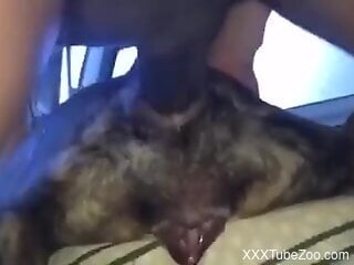 Zoophile can't stop enjoying the homemade zoo porn