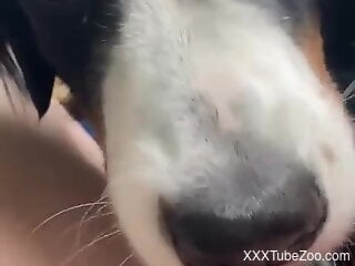 Doggie loves having oral zoo sex at home a lot