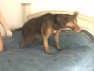 Sexy slut lets curious dog fuck her pussy and come inside her