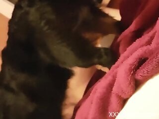 Naked woman gets intimate with the dog in sexy positions