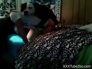 Thin babe gets dog fucked at home and soaked in sperm