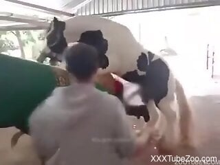 Horse fucks tight woman in the pussy for brutal pleasures