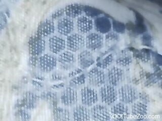 Amateur woman combines nude zoophilia in a great solo