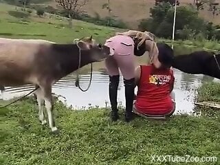 Insolent man sits by the lake and craves sex with the cow