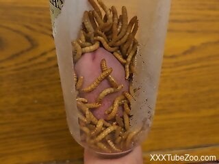 Dude inserts cock in jar filled with worms for stimulation