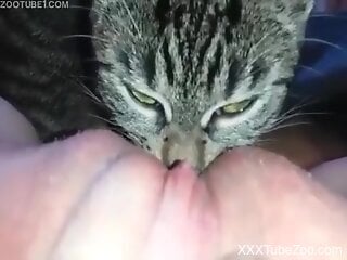 Cat licks woman's mature cunt when she masturbates