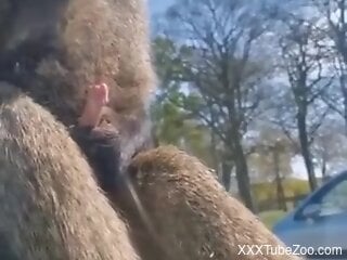 Woman feels attracted to this furry animal's cock