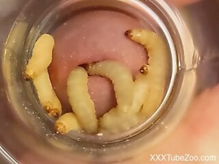 Check out the nasty zoo porn featuring larvae