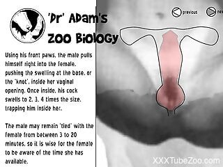 Have a look at educational zoophilia porn video