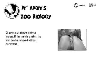 Have a look at educational zoophilia porn video