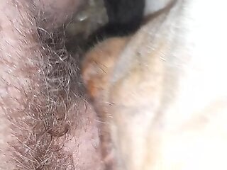 Zoophile drills deep during the kinky zoo porn