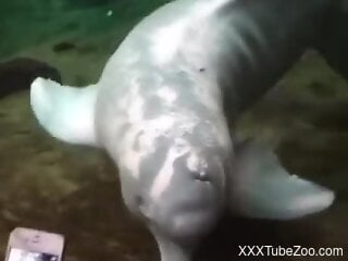 Check out kinky bestiality featuring a fish