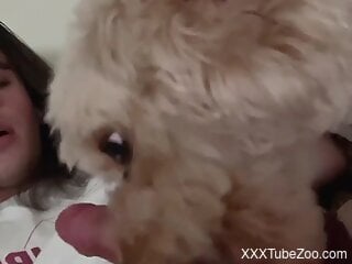 Zoophile's cock is sucked during zoo porn