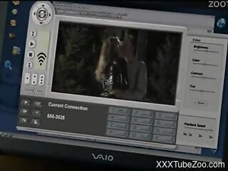 Check out kinky zoophilia featuring sexy blonde