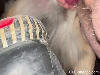 Furry dog is fucking zoophile's ass in zoo porn