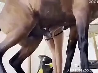 Huge horse is ready for bestiality with a slim babe