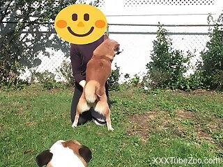 Zoophile is preparing for zoo sex outdoors